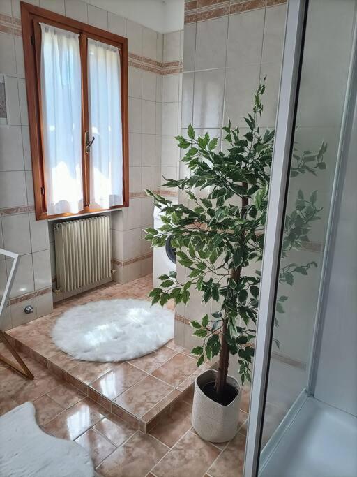 A Due Passi Dal Centro Villa Treviso Bagian luar foto