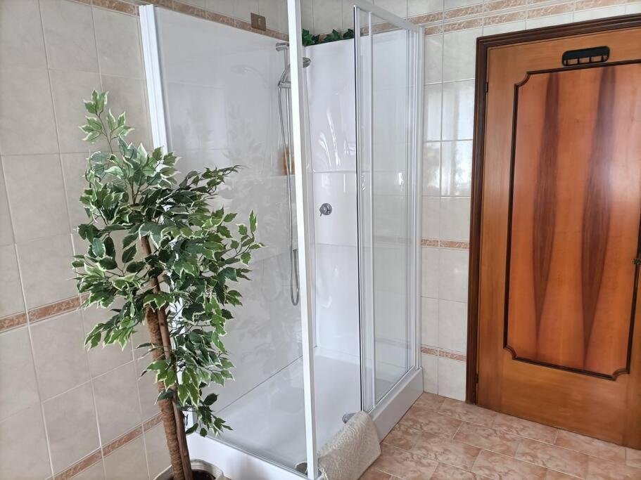A Due Passi Dal Centro Villa Treviso Bagian luar foto